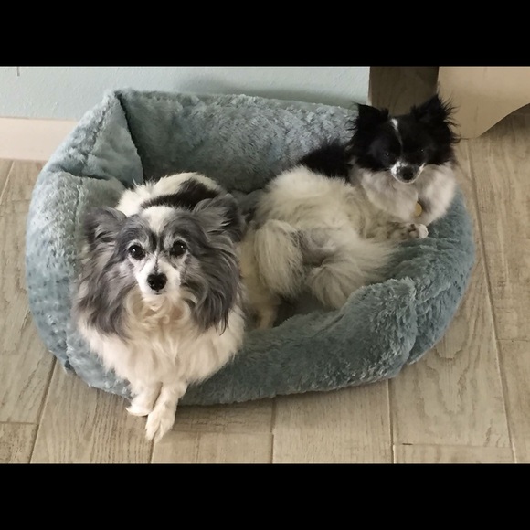 Meet your Posher, Michelle - Picture 2 of 2